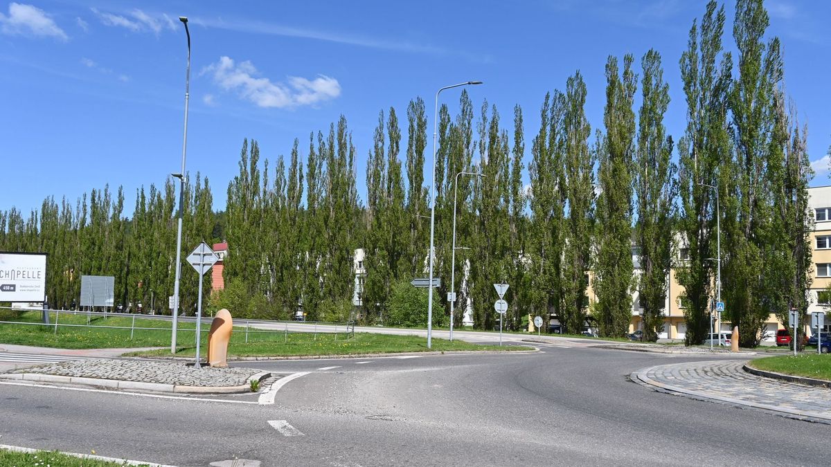 Topolová alej v Písku ohrožuje lidi. Stromy musí k zemi